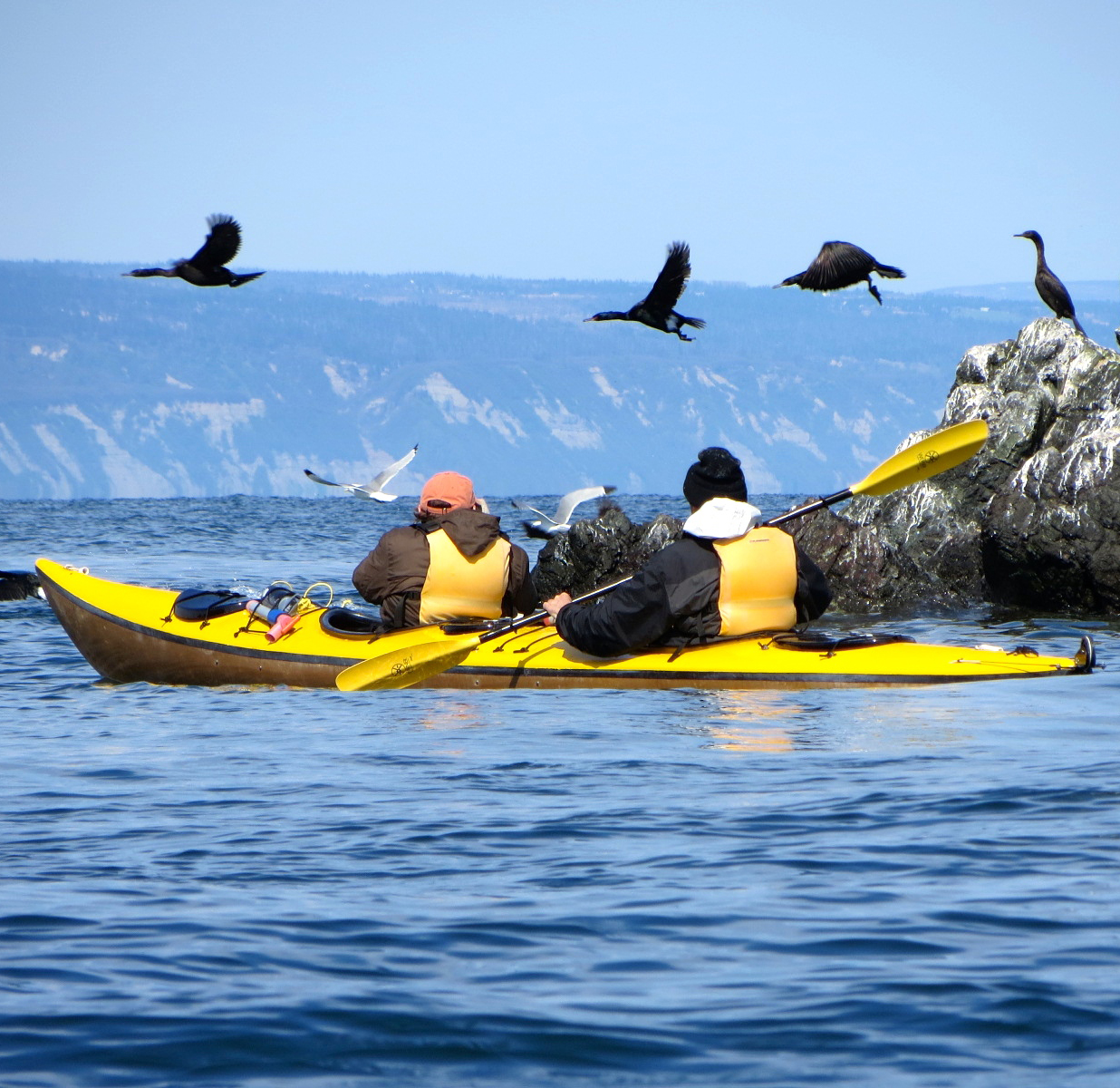 KAYAKING - Paddle the waters of Kachemak Bay State Park