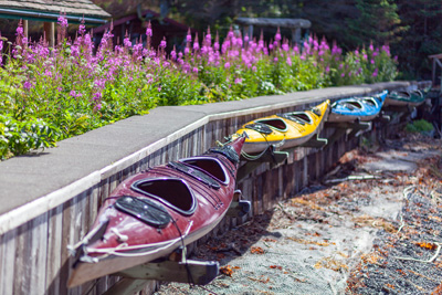 Kachemak Bay Wilderness Lodge